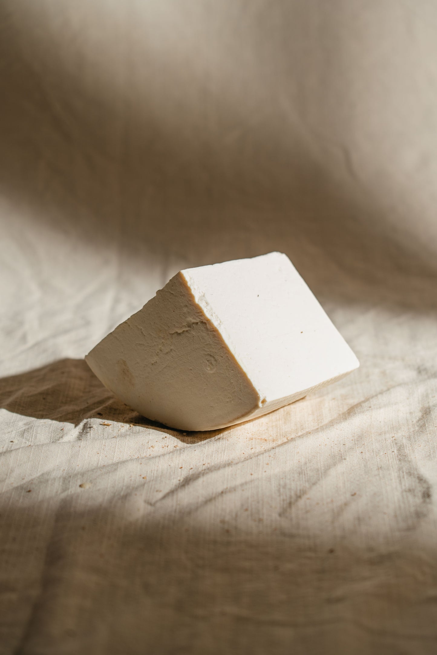 Ricotta Salata