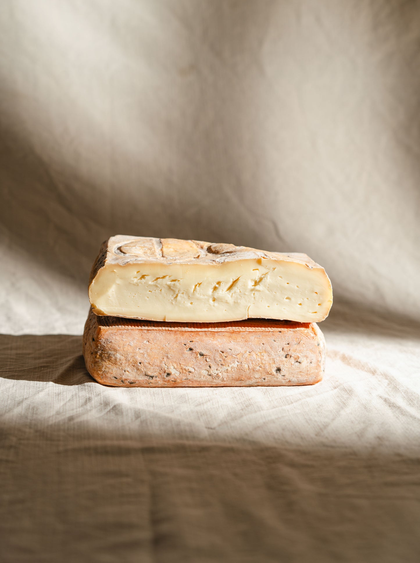 Taleggio